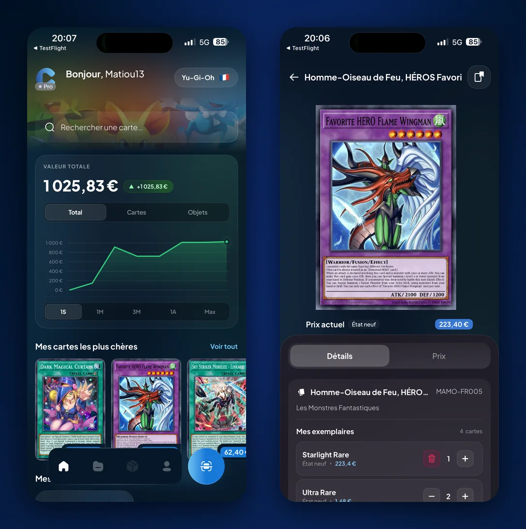 Scanner une carte Yu-Gi-Oh dans Cardzia : valeur totale de la collection en euros et fiche de la carte Homme-Oiseau de Feu, HÉROS Favori
